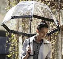 transparenter regenschirm